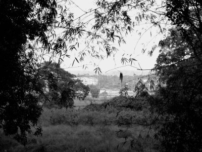 Bamboo VIsta in Baga