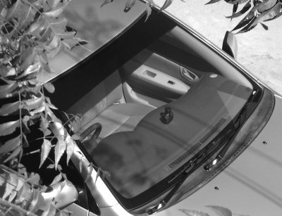 Windscreen