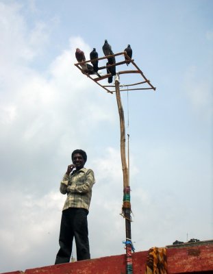 Bangalore Pigeon Post