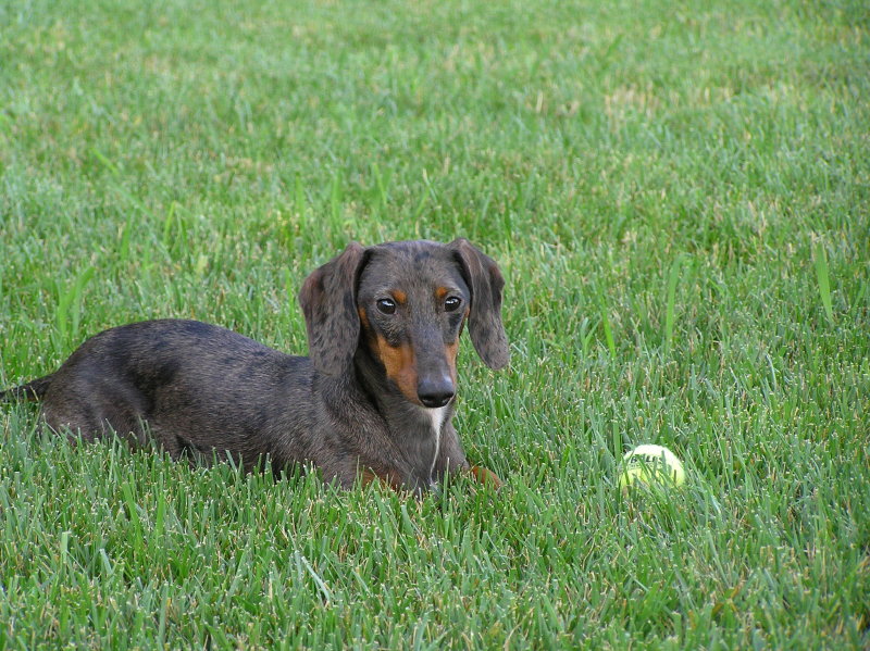 SMOKEY ON VACATION