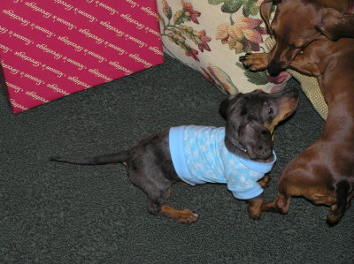 SMOKEY AND TISH