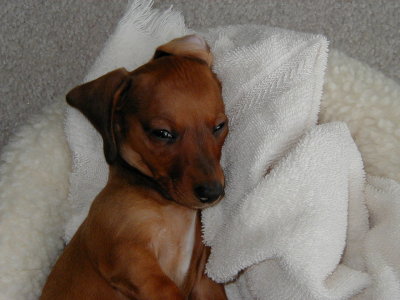 WHEN BABY WAS A BABY.