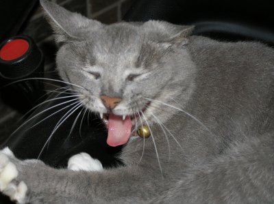 JULY 1 2007 034.jpg