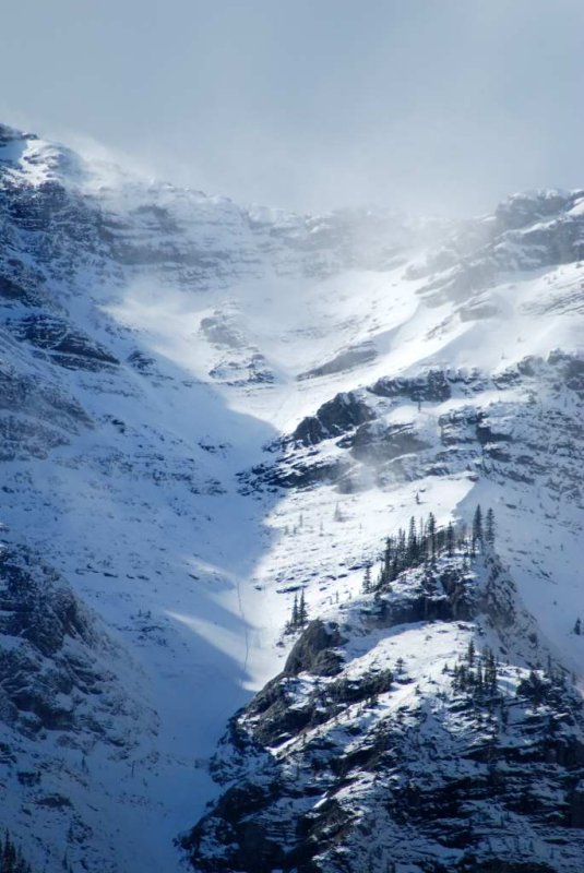 Snow blow