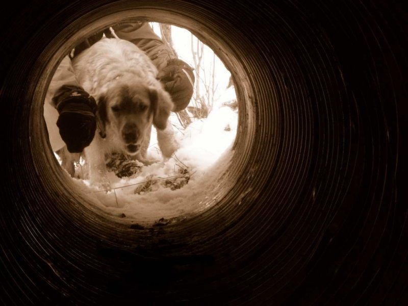 ...you in there?