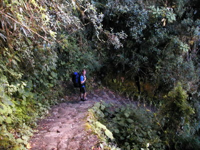 ancient trail down