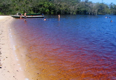 Rio Negro Swimming Hole