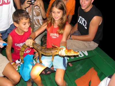 caiman hunting in the night