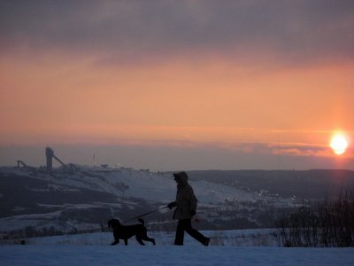 frosty sunset