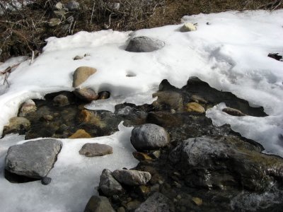heart creek thaw
