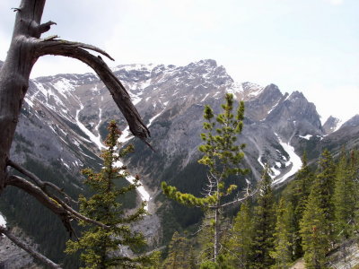 our destination