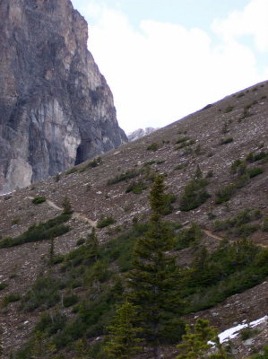 rocky trail