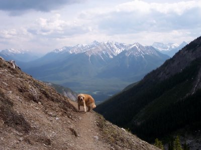 maggie leads the way