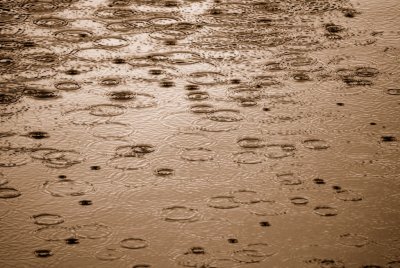 sepia rain drops