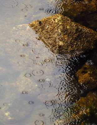 rain drops
