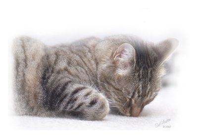 Dreaming