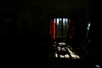 8 IMG_5318.jpg