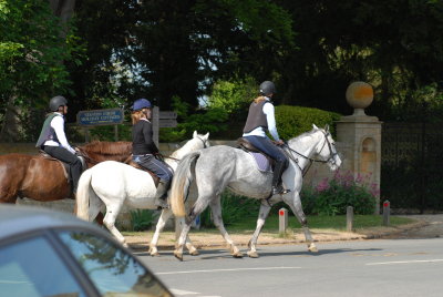 DSC_0796.JPG
