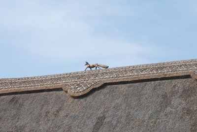 DSC_0797.JPG