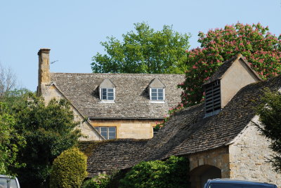 DSC_0798.JPG