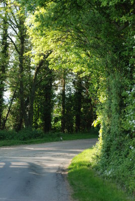 DSC_0838.JPG