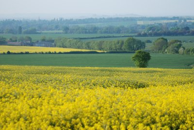 DSC_0845.JPG