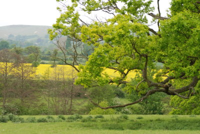 DSC_0867.JPG