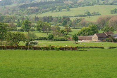 DSC_0877.JPG