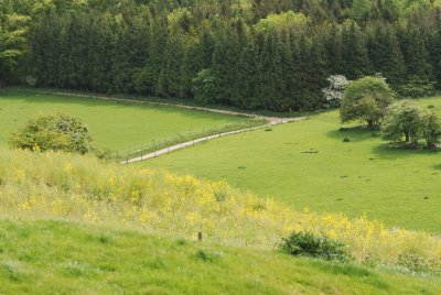 DSC_0884.JPG