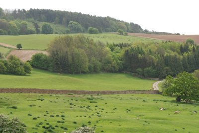 DSC_0886.JPG