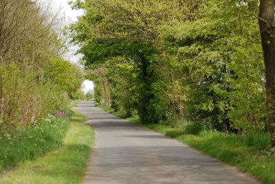 DSC_0895.JPG