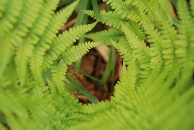 DSC_0906.JPG