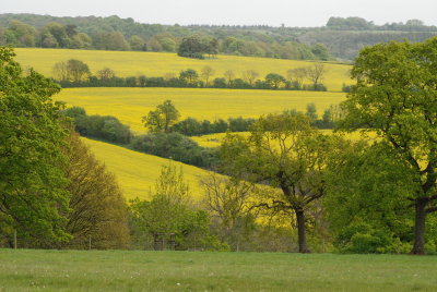 DSC_0908.JPG