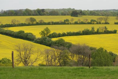 DSC_0909.JPG