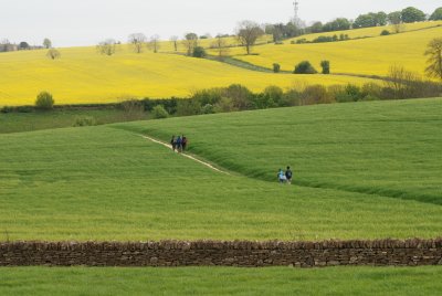 DSC_0934.JPG