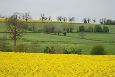 DSC_0954.JPG