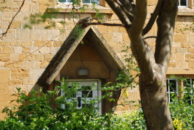 DSC_1031.JPG