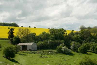 DSC_1047_1.jpg