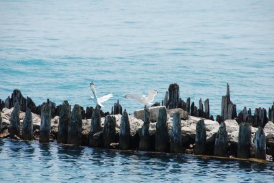 DSC_2380.JPG