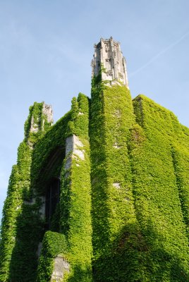 DSC_2432.JPG