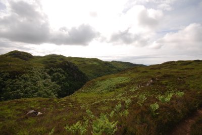 DSC_3016.JPG