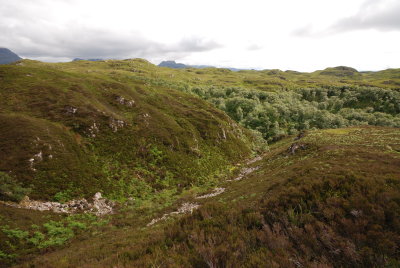 DSC_3021.JPG