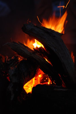 DSC_3103.JPG