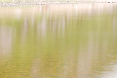 DSC_3146.JPG
