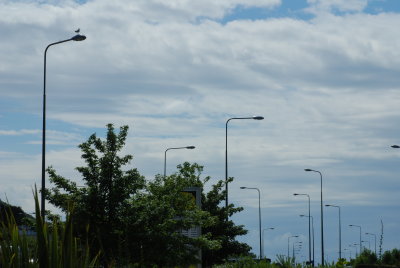 DSC_3697.JPG