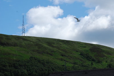 DSC_3708.JPG