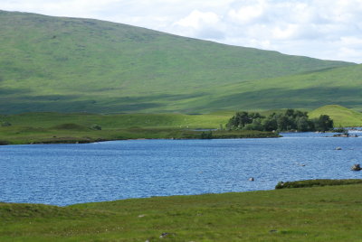 DSC_3741.JPG