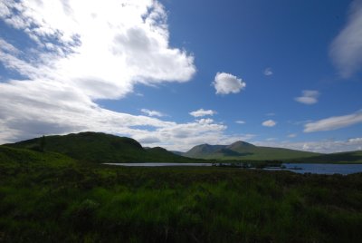 DSC_3749.JPG