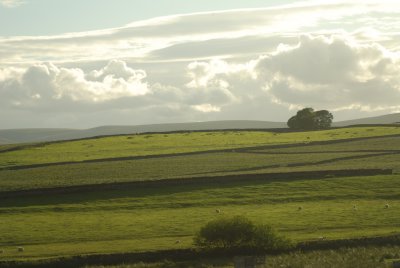 DSC_3784.JPG