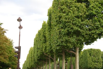 DSC_4209.JPG